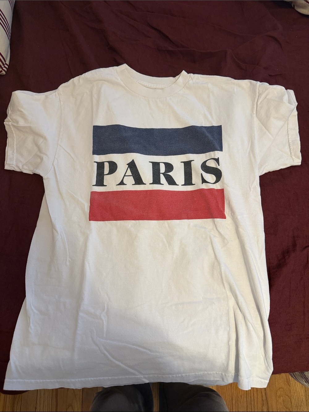 Brandy Melville White Paris Graphic Tee with Blue and Red Stripes